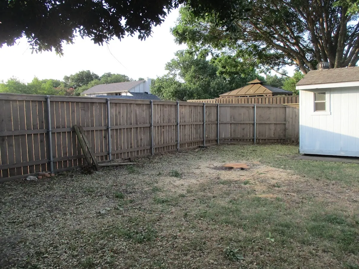 Cleared yard after professional tree removal in New York Mills