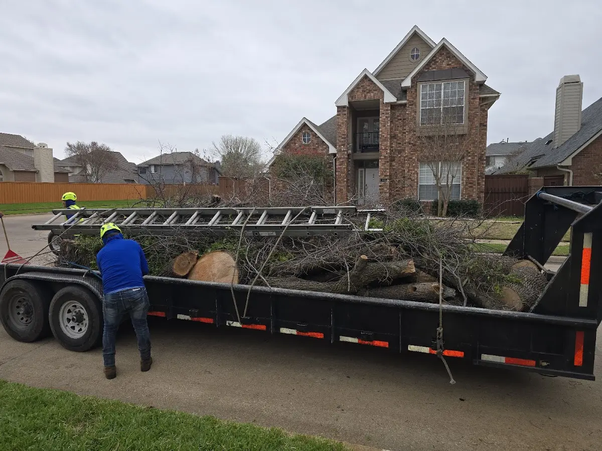 Expert Tree Fertilization with proper safety equipment in New York Mills